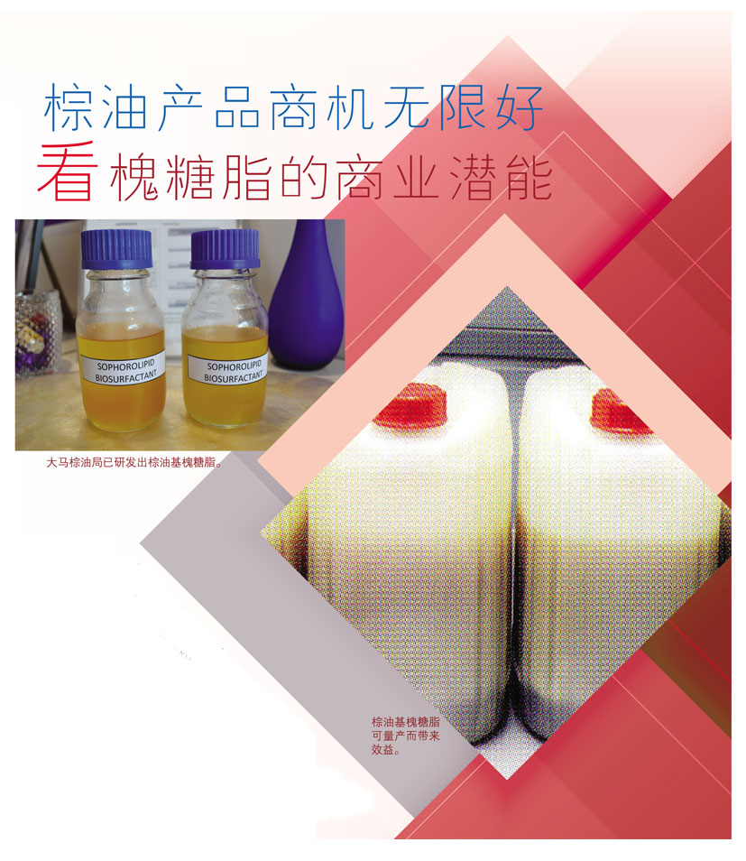 Read more about the article 棕油产品商机无限好,看槐糖脂的商业潜能
