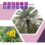 栽种有益植物以防范袋虫害