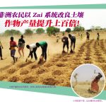 非洲农民以 Zai 系统改良土壤,作物产量提升上百倍!