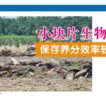 小块片生物质保存养分效率较佳