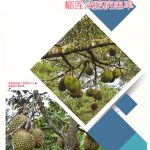 有机肥能改善榴莲溃疡病患率