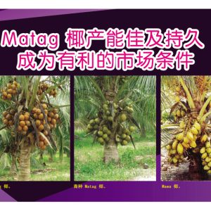 Matag椰产能佳及持久成为有利的市场条件
