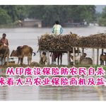 从印度设保险防农民自杀来看大马农业保险商机及益处