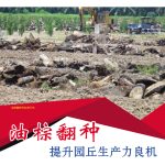 油棕翻种专题：油棕翻种提升园丘生产力良机