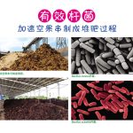 有效杆菌加速空果串制成堆肥过程