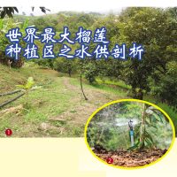 世界最大榴莲种植区之水供剖析