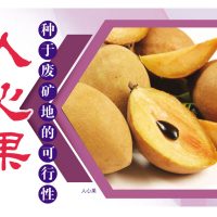 人心果种于废矿果地的可行性
