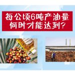 每公顷6吨产油量何时才能达到?