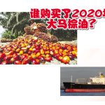 谁购买了2020年大马棕油?