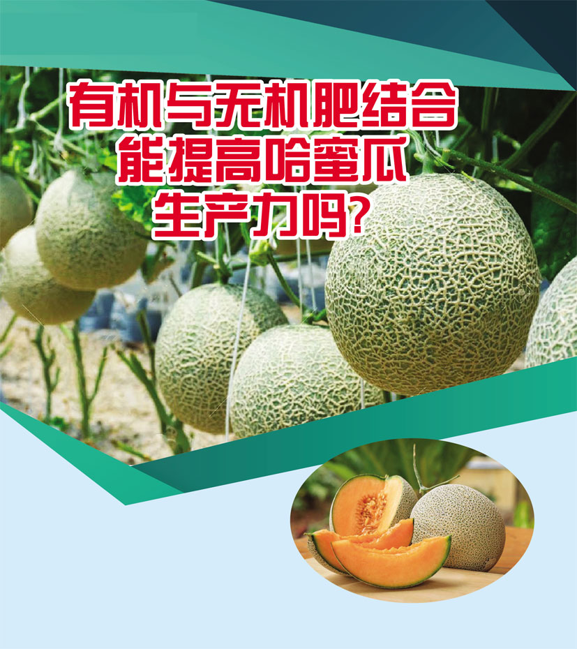 Read more about the article 有机与无机肥结合能提高哈蜜瓜生产力吗?