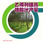 乙烯利提高橡胶汁产量