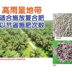 高雨量地带适合施放复合肥以节省施肥次数
