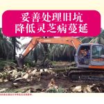 妥善处理旧坑,降低灵芝病蔓延