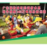 广东茘枝成欧美超级水果,海外或成143万吨茘枝新出路