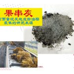 果串灰,高雨量泥炭地成龄油棕最佳的钾肥来源