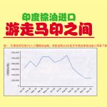 印度棕油进口游走马印之间