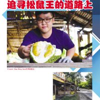 追寻松鼠王的道路上