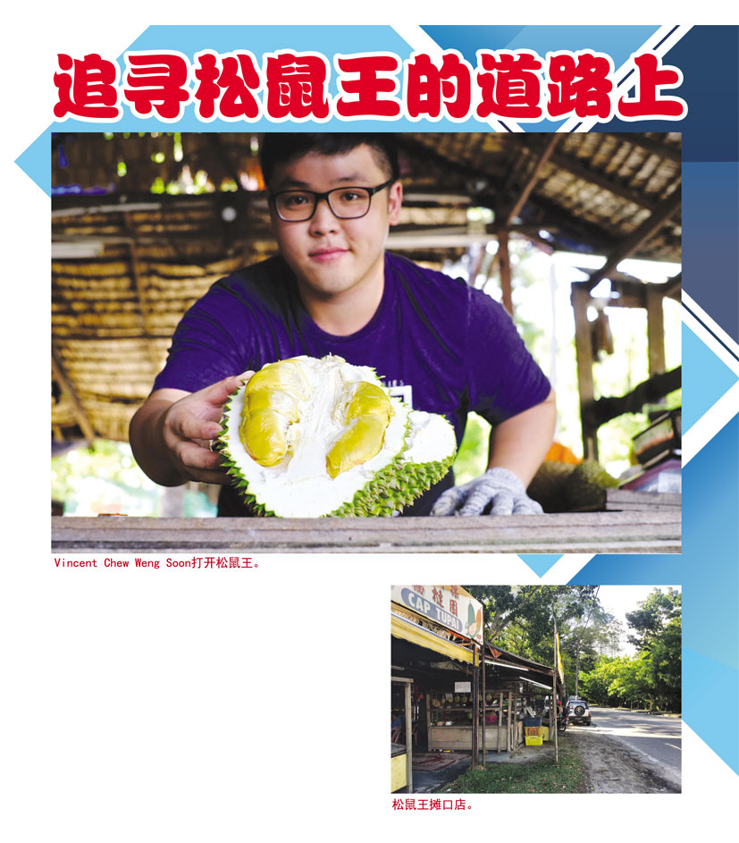 Read more about the article 追寻松鼠王的道路上