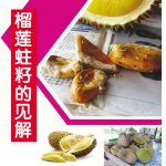 榴莲蛀籽的见解