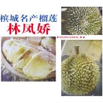 槟城名产榴莲林凤娇