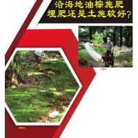 沿海地油棕施肥埋肥还是土施较好？