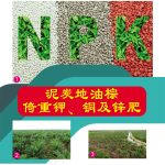 泥炭地油棕倚重钾、铜及锌肥