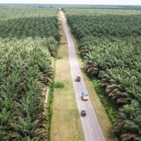世贸组织 (WTO) 终于裁决欧盟棕榈油生物燃料政策具岐视性