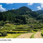 粮农组织认定伊朗和日本三处“全球重要农业文化遗产”