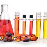 农业部仅能以《农药法》对外国人非法种植蔬菜采取行动