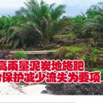 高雨量泥炭地施肥养分保护减少流失为要项