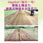 AlgaSoil (海补一号) 增强土壤活力, 提高作物成长与生产力