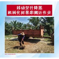 移动型升降器机械化鲜果串搬运作业