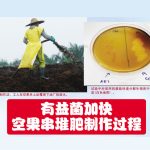 有益菌加快空果串堆肥制作过程
