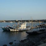 唐飞一曲”痴情台西港”使该地广为人知地方文史工作者規畫1日游包括漁业休闲遊重現台西港榮景