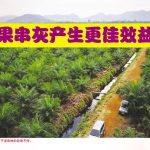 果串灰产生更佳效益