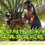 电动与传统采果工具效益比较!