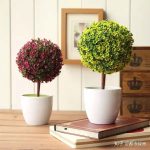 养花人必看:植物花草叶子发黄原因大揭秘