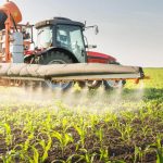 美国指出，尽管有农业法规，水果和蔬菜仍含有农药：“前进两步，后退一步”