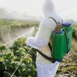 彭亨成立委员会控制农产的农药使用