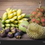 气候变化影响泰国东部榴莲、山竹和香蕉的开花与收或时间