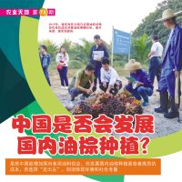 中国是否会发展国内油棕种植?