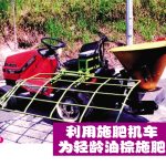 利用施肥机车为轻龄油棕施肥