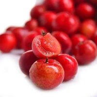 通丰村的致富“金豆豆”