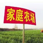 家庭农场开启致富门