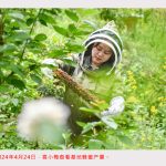 “我们村里的年轻人”｜养蜂能手的致富路