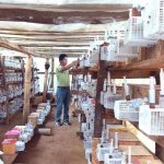 临沧镇康:深山养蜂人的致富“蜜”诀