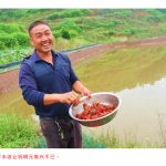 养龙虾“贫困户”变“致富带头人”