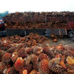 MPOB呼吁在埃及设立棕油枢纽和再分配中心