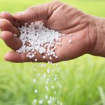 Nousbo 与 SK leaveo 签署谅解备忘录将商业化可生物降解控释肥料