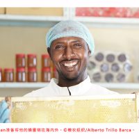 养蜂致富路